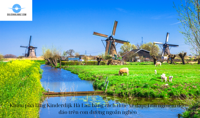 Khám phá làng Kinderdijk Hà Lan bằng cách thuê xe đạp: Trải nghiệm độc đáo trên con đường ngoằn nghèo